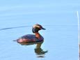 Smart-guided individuelle Naturerlebnisreise in Estland