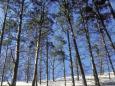Slowinski Nationalpark
