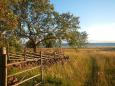 Aktiv - Reise Inseln & Nationalparks Estlands