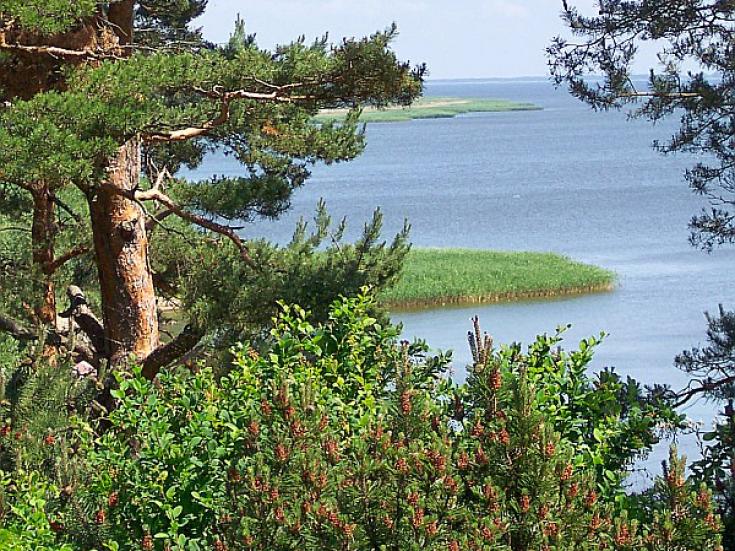 Kurische Nehrung