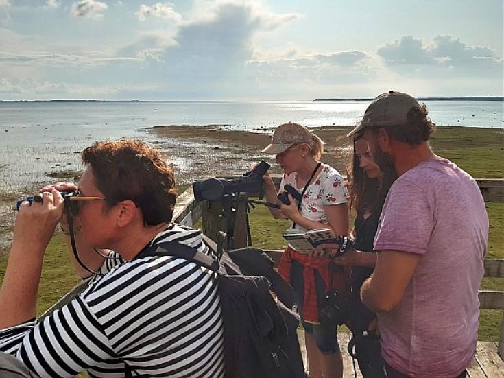 Familenreise nach Estland - Bären, Elche & Abenteuer