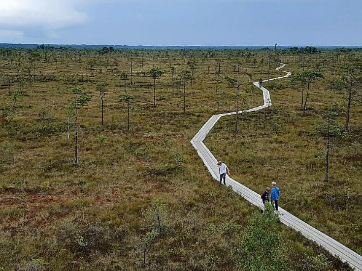 Smart-guided individuelle Naturerlebnisreise in Estland