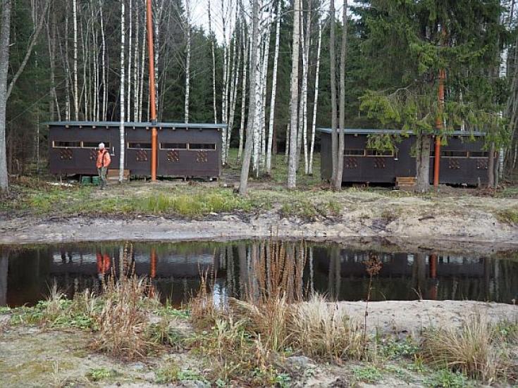 Braunbär - Beobachtung in Estland: Erlebnis Bären - Hütte