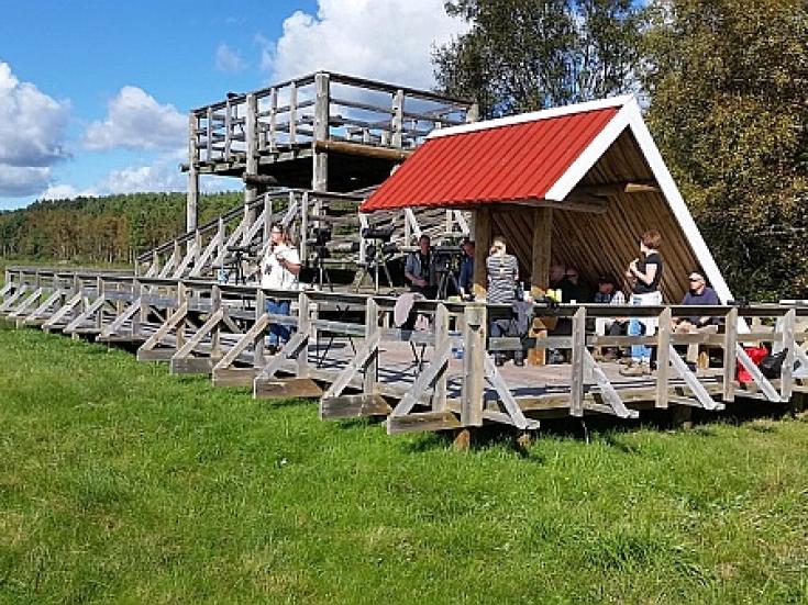 Estland - Aussichtsturm im Matsalu Nationalpark