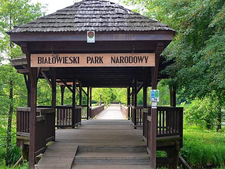 Bialowieza Nationalpark