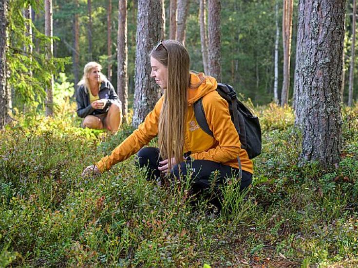 Naturerlebnis Estland - Estonian Wildnest Resorts