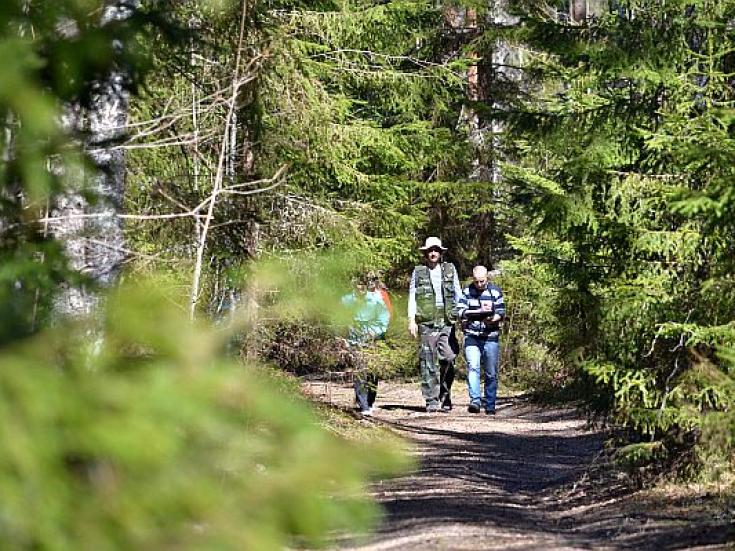 Wandern in Estland