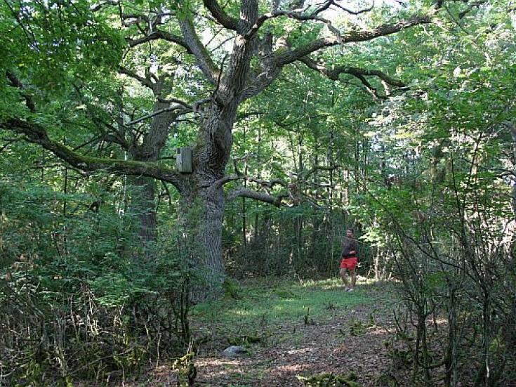 Wandern in Estland