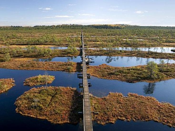 Hochmoor in Estland