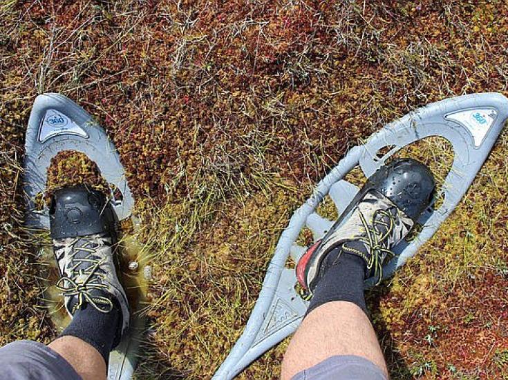 Familienreise nach Lettland und Estland - Naturerlebnisse im Baltikum für Familien mit Teenagern