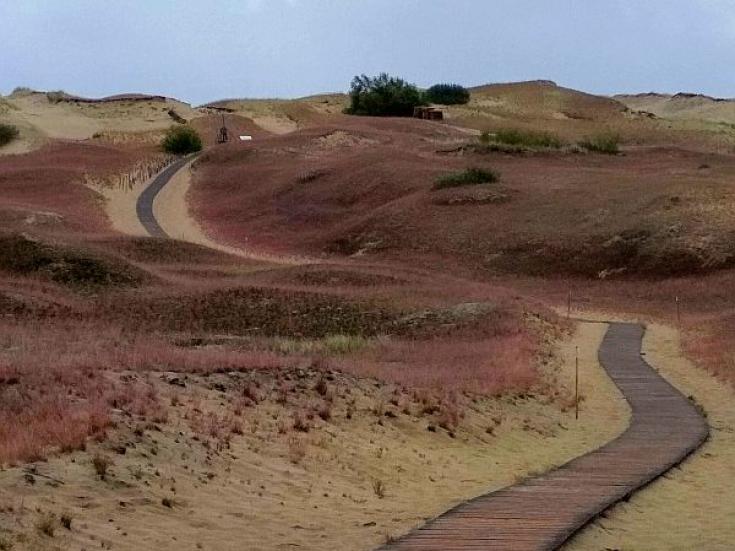 Wandern im Baltikum - smart-guided Individualreise