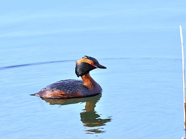 Smart-guided individuelle Naturerlebnisreise in Estland