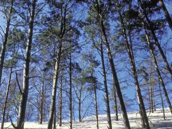 Slowinski Nationalpark