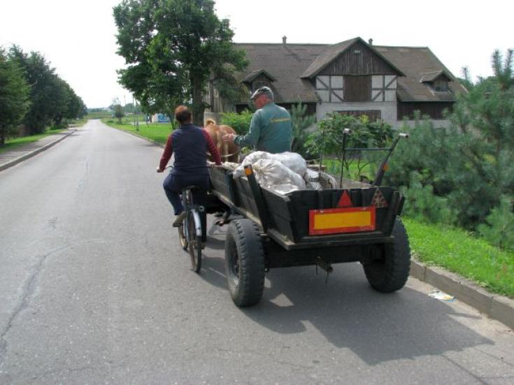 Insel Rusne im Memeldelta
