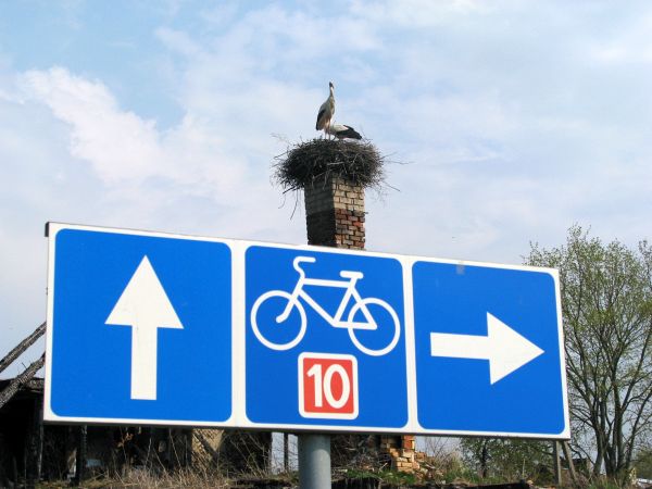 Radeln im Baltikum