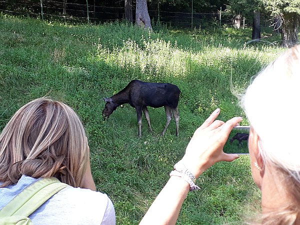 Familienreise nach Lettland und Estland