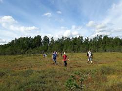 Familienreise nach Lettland und Estland - Naturerlebnisse im Baltikum für Familien mit Teenagern