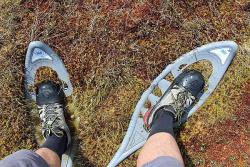 Familienreise nach Lettland und Estland - Naturerlebnisse im Baltikum für Familien mit Teenagern