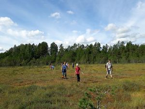 Familienreise nach Lettland und Estland - Naturerlebnisse im Baltikum für Familien mit Teenagern