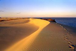 Düne auf der Kurischen Nehrung