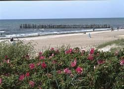 Ostseestrand auf der Kurischen Nehrung