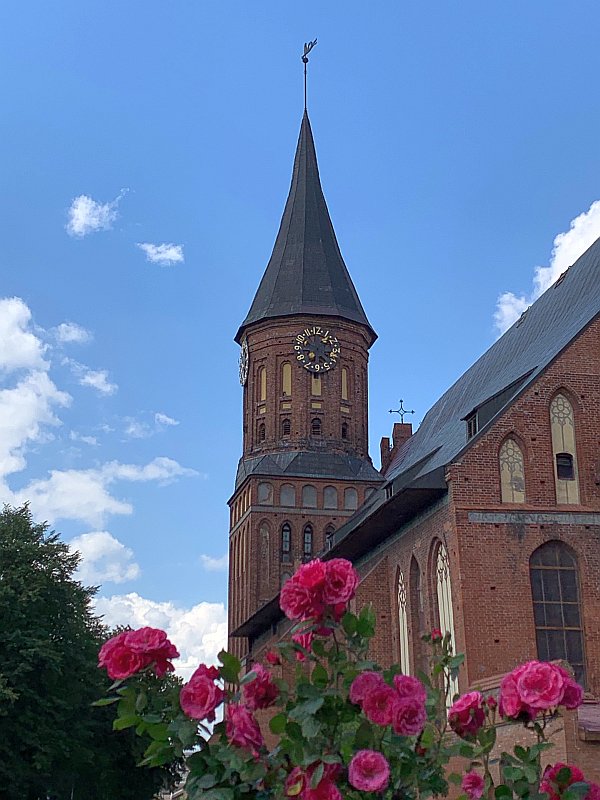 Königsberger Dom - Ostpreußen