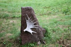 Gedenkstein für einen Forstmann - Landschafts- und Naturexkursion nach Ostpreußen