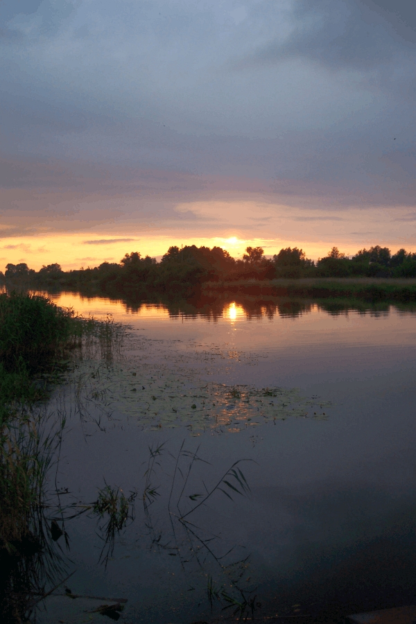 Memelland