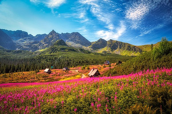 Reise durch Südpolen- Breslau - Krakau - Hohe Tatra