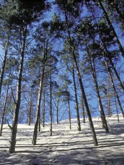 Slowinski Nationalpark