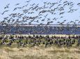 Naturparadies Estland