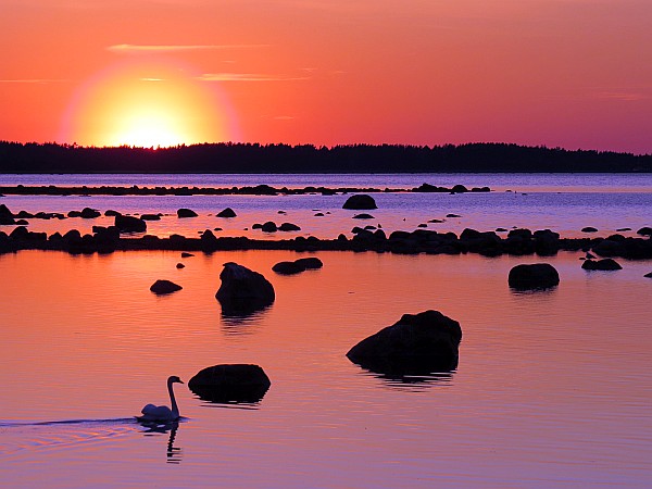 Radtour Estland-Lettland-Litauen
