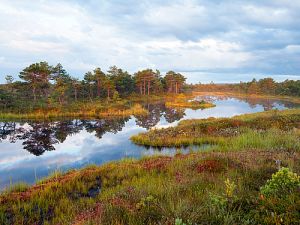 Natur - Erlebnis - Reise in Estland