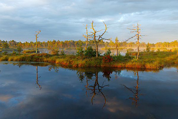 Estlands Natur entdecken - Naturerlebnisreise Wildes Baltikum