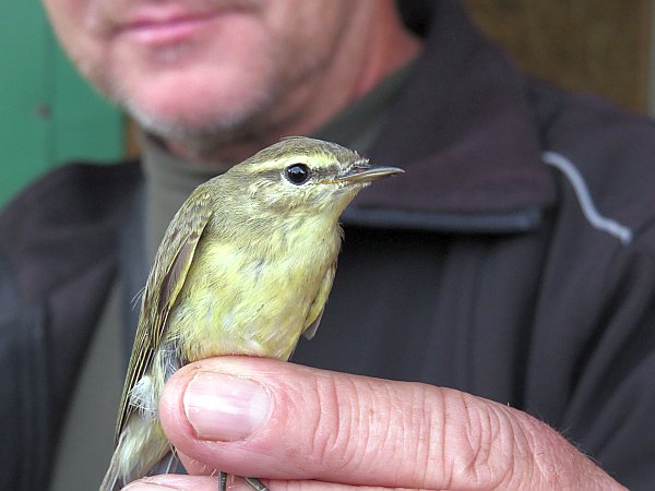 Wandern auf der Kurischen Nehrung und im Memelland