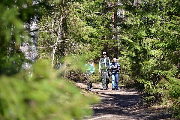 Smart-guidet individuelle Naturerlebnisreise in Estland