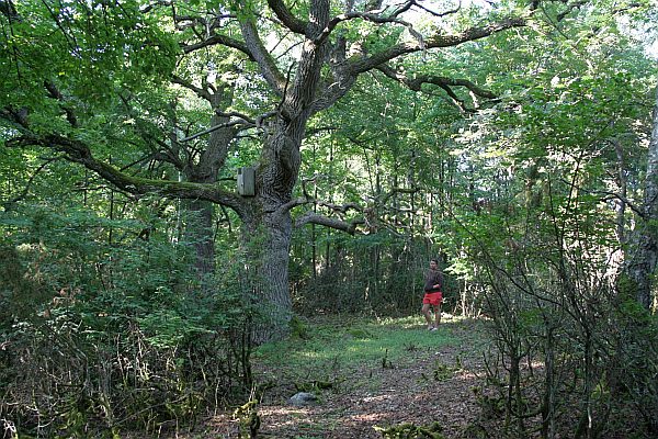 Wandern im Baltikum