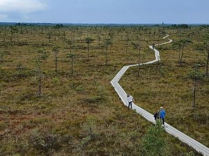 Wandern im Baltikum - smart-guided Individualreise