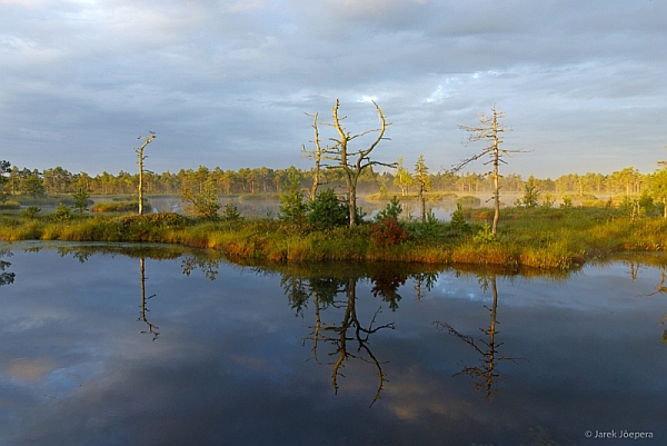 Wandern in Estland